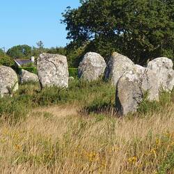 Die Steinfelder von Carnac