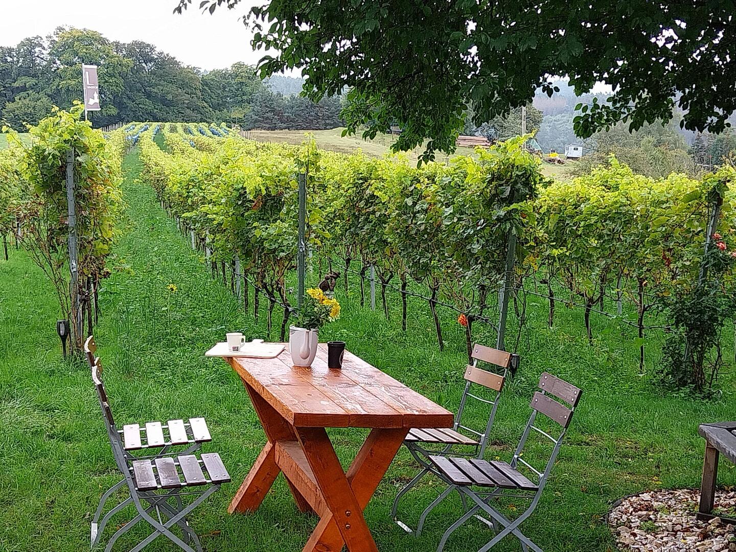 Vinotop am Weinberg