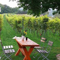 Vinotop am Weinberg