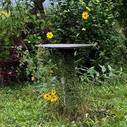 This pretty table was in a backyard we walked by. I thought of you, Donna.