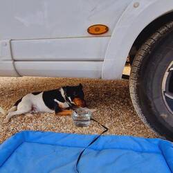 30° im Schatten, selbst unter dem Wohnmobil