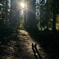 Jeder Sonnenstrahl wird genutzt um die Schuhe zu trocknen