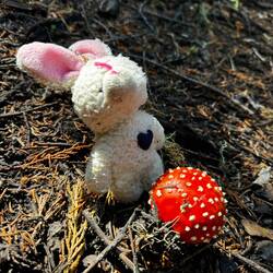 Hiker Bunny im Glück 😁