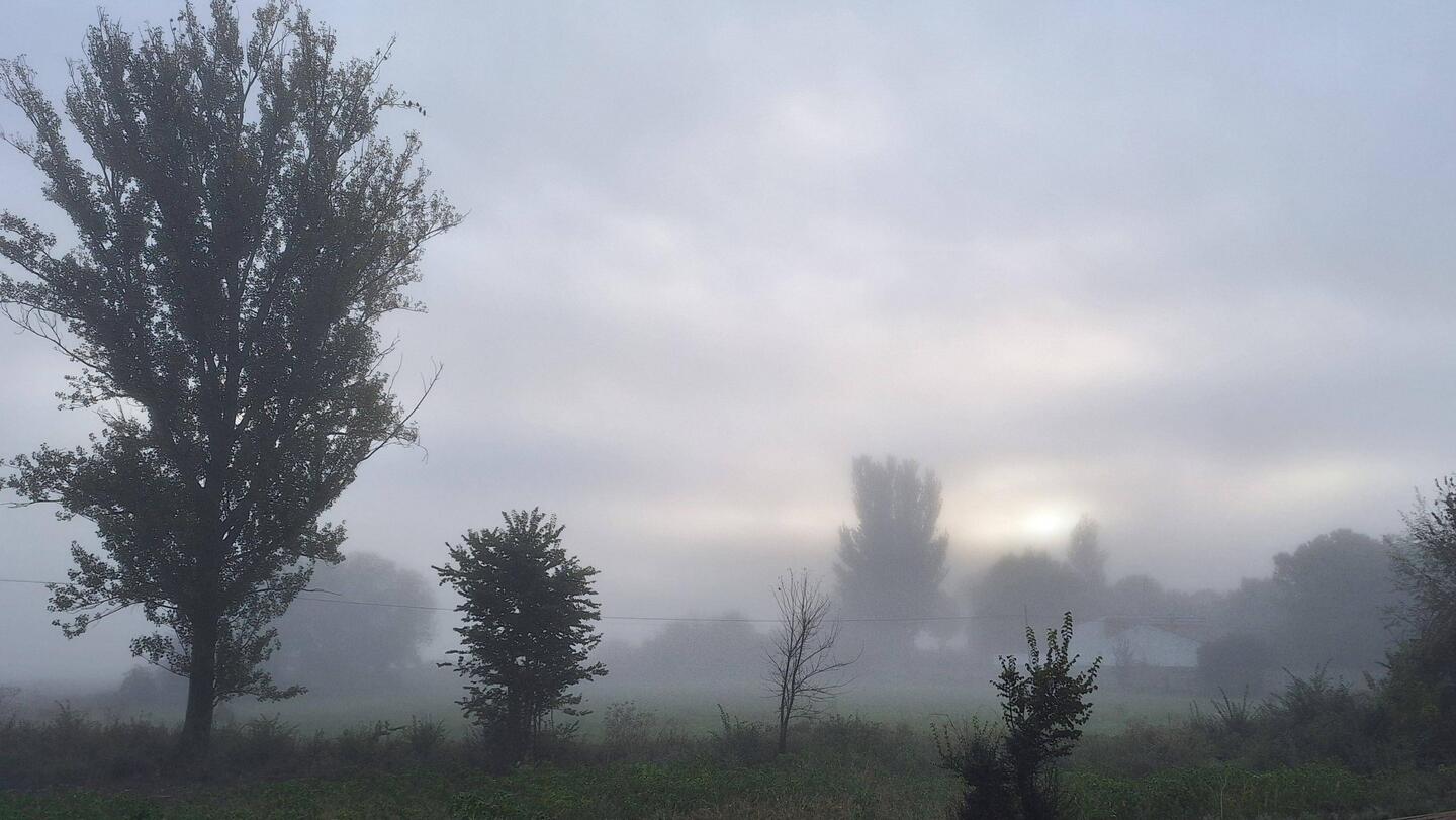 As hard as it tried the sun couldn't quite make its way through the mist.