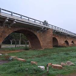 Looks like they've stuck a new road deck on an old bridge.