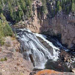Gibbon Fall