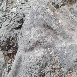 Reste eines Pumareliefs - sieht wie ein Affe aus, also Affentempel