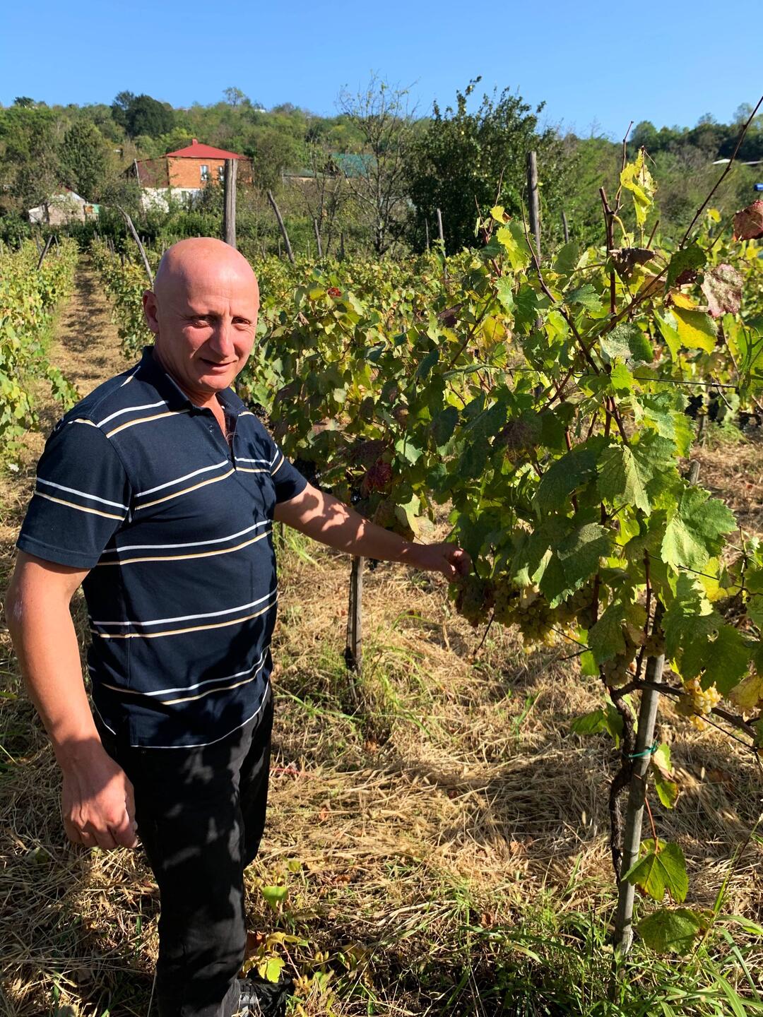 Gia in one of his seven vineyards