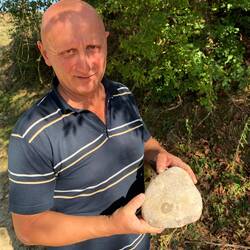 This vineyard is filled with fossils