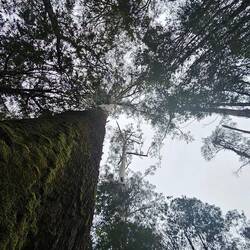 ...and this is what she is looking at!