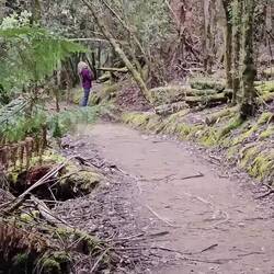 Look at the height of this tree!!