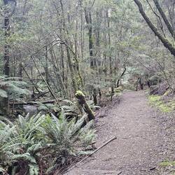 One more view of this trail.