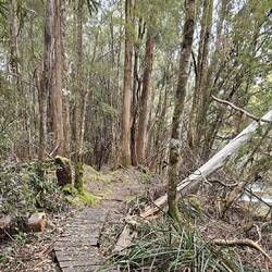 A lot different from the other trail.