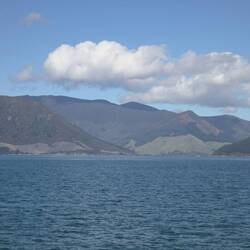 Pelorus Sound