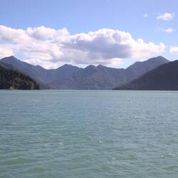 Pelorus Sound