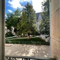 View from our bedroom
