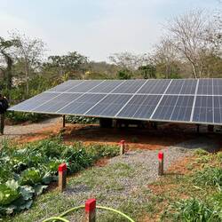 Wir bekommen eine Führung über das Gelände der Eco Farm
