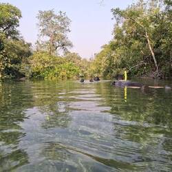 Oberhalb der Wasseroberfläche sieht das Ganze weniger spannend aus