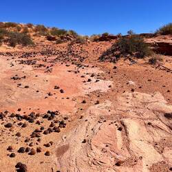 Komische runde Steine???