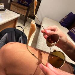 Wenn die Brille vom Affen geklaut wird 😂