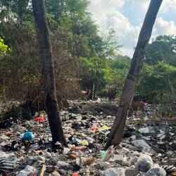 Real Bali - Müll überall