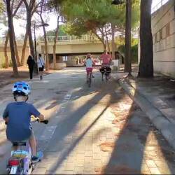 Was es nicht alles in Valencia gibt... 😂