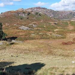 Loughrigg Fell en route to Oxen Fell