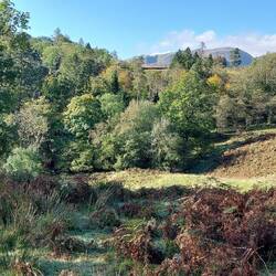View towards Fletcher's Wood