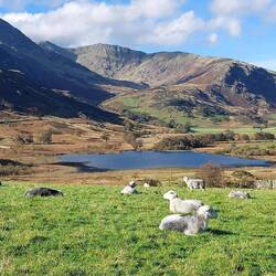Little Langdale Tarn