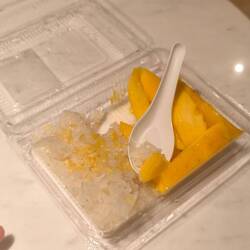 Und zum Schluss noch Mango Sticky Reis