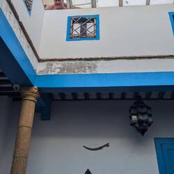 Karlchen vom Dach😄