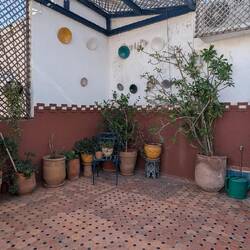 Überall Blumentöpfe