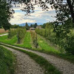 Bilder von einem Spaziergang rund um den Stellplatz