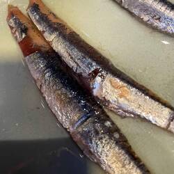 Smoked anchovies