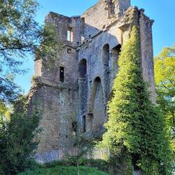 Ruine des Donjon