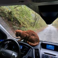 Howdie will mitsteuern