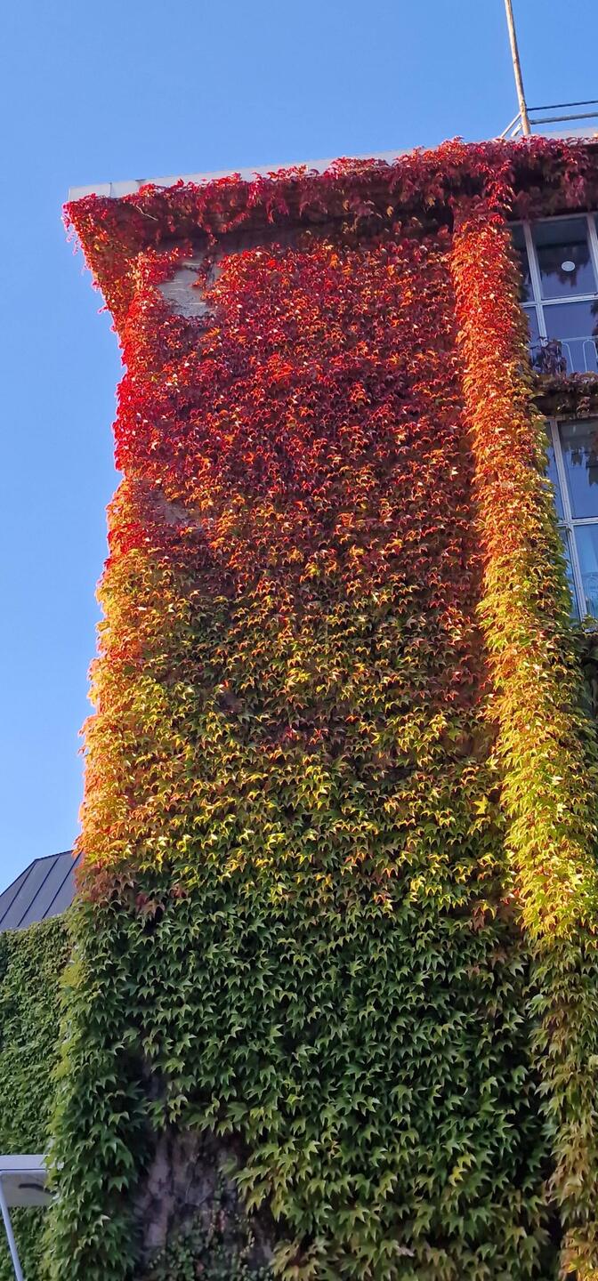 Farbspiel - Herbstzauber