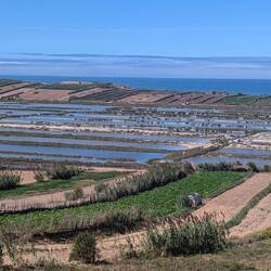 Gemüsefelder direkt am Atlantik, dazwischen Verdunstungsbecken zur Salzgewinnung