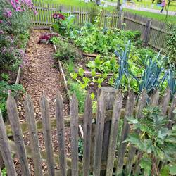 Even vegetable gardens