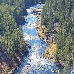 Madisonriver