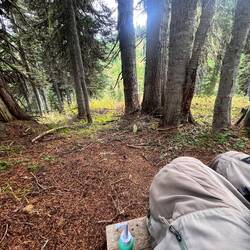 Toilette mit Ausblick 😉