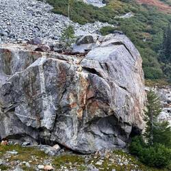 Baum mit exklusivem Ort😁