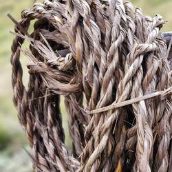 Handmade rope. They use this to hang from cliffs to collect a specific type of honeycomb