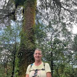 A Mother and a Mother Tree