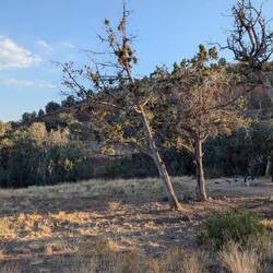 Wieder im Outback kurz nach Seligman