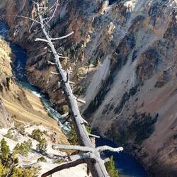 Yellowstone Canyon - North Rim