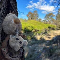 Irgendjemand hat "Olaf" hier gelassen