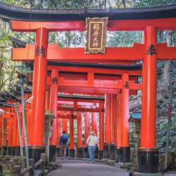 Fushimi Inari is the most important Shinto shrine dedicated to Irani, the god of rice