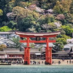 Itsukushima Shrine on Miyajima Island at low tide