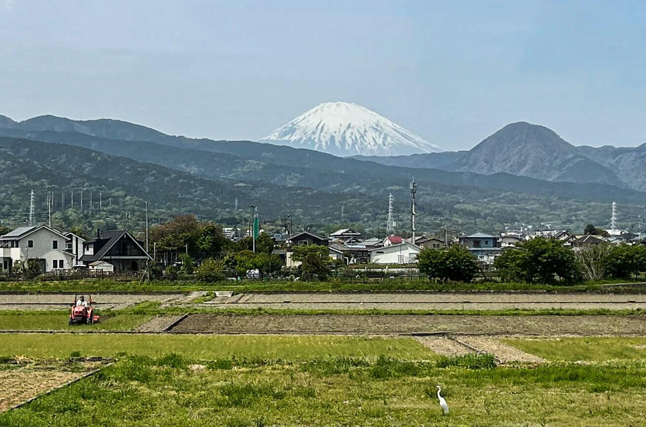 Our last viewing of Mt Fuji on the train heading for Tokyo